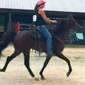 Meet your Posher, Sherry